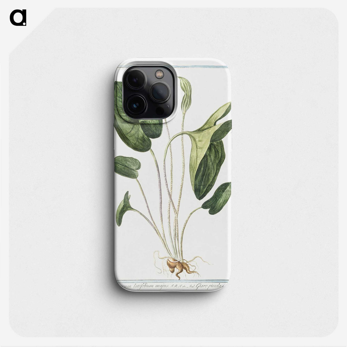 1-38_Hortus-Romanus-Botanical-Plates_phone