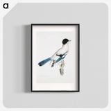 1-38_Indian-Zoology_blk