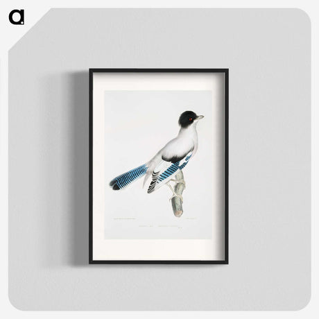 1-38_Indian-Zoology_blk