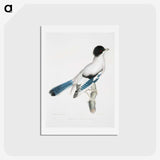 1-38_Indian-Zoology_hagaki