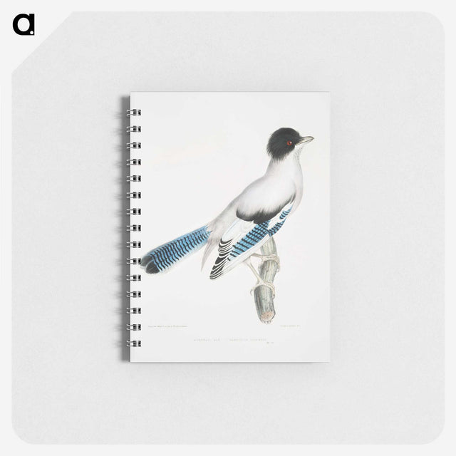 1-38_Indian-Zoology_memo