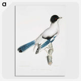 1-38_Indian-Zoology_picture-crop