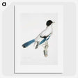 1-38_Indian-Zoology_picture