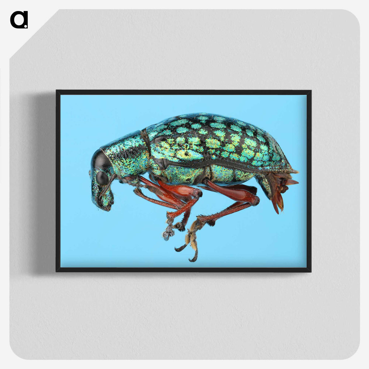 1-38_Insects-Unlocked-Project_blk-crop