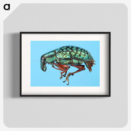1-38_Insects-Unlocked-Project_blk