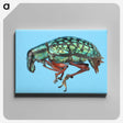 1-38_Insects-Unlocked-Project_canvas