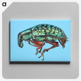 1-38_Insects-Unlocked-Project_canvas