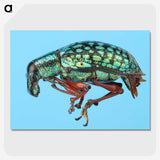 1-38_Insects-Unlocked-Project_picture-crop