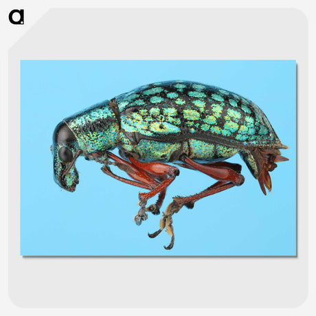 1-38_Insects-Unlocked-Project_picture-crop