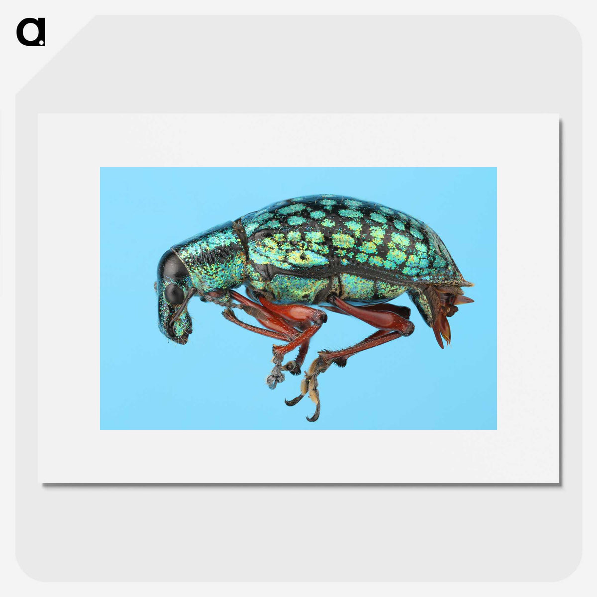1-38_Insects-Unlocked-Project_picture