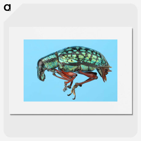 1-38_Insects-Unlocked-Project_picture
