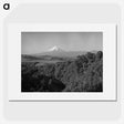1-38_James-Walter-Chapman-Taylor_picture