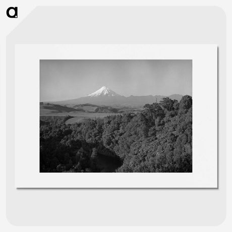 1-38_James-Walter-Chapman-Taylor_picture