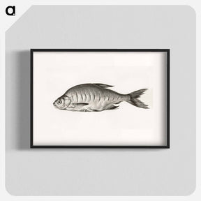 アートポスター-Fish - ジャン ベルナール Poster.