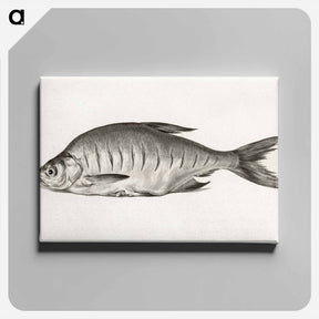 アートパネル-Fish - ジャン ベルナール Canvas.