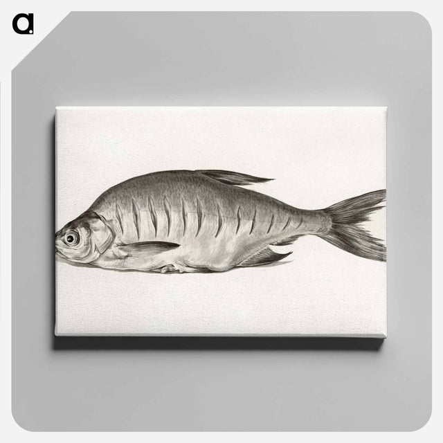 アートパネル-Fish - ジャン ベルナール Canvas.