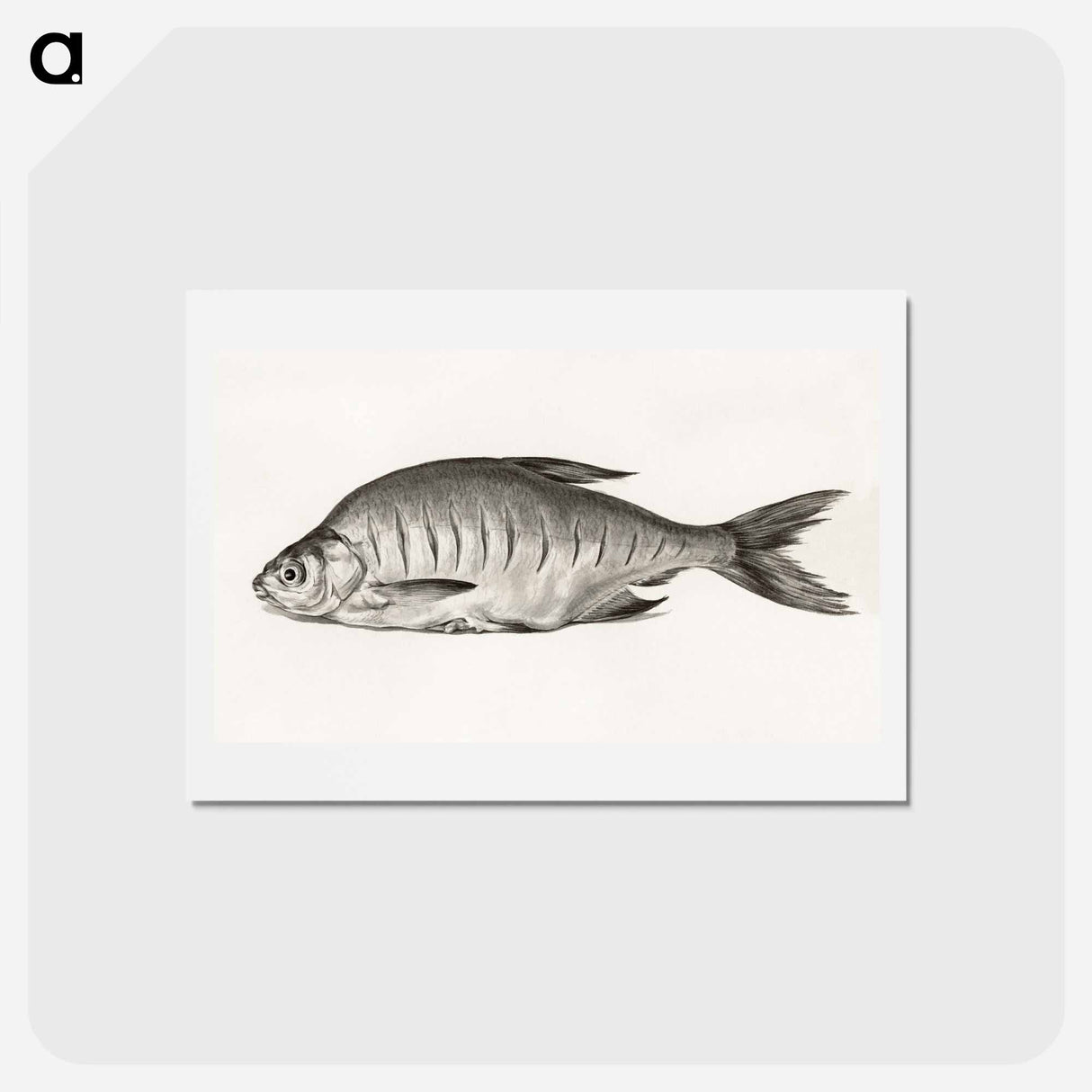 アートポストカード-Fish - ジャン ベルナール Postcard.
