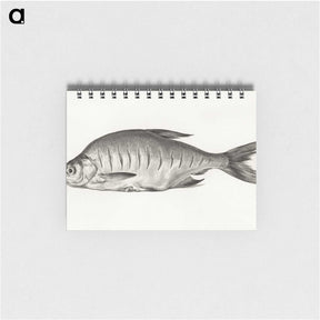 1-38_Jean-Bernard_memo