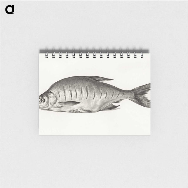 1-38_Jean-Bernard_memo