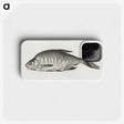 1-38_Jean-Bernard_phone