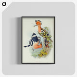 1-38_John-Gould_blk-crop