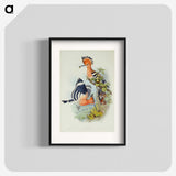 1-38_John-Gould_blk