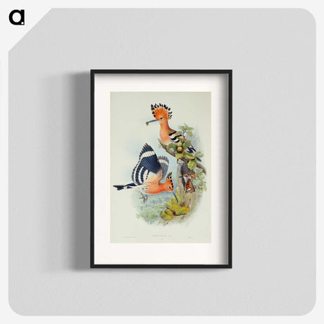 1-38_John-Gould_blk