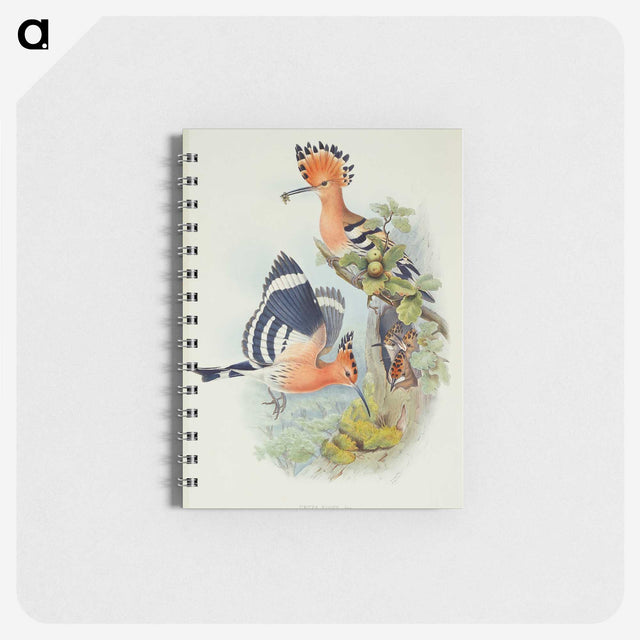 1-38_John-Gould_memo
