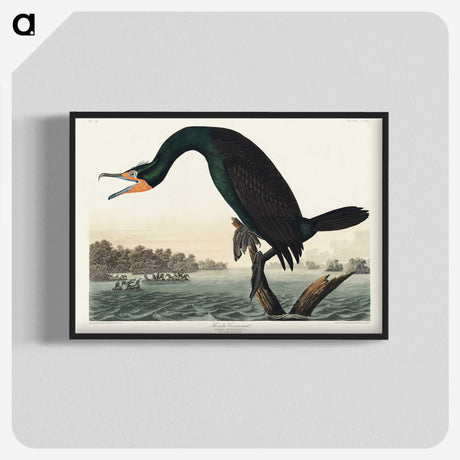 1-38_John-James-Audubon_blk-crop
