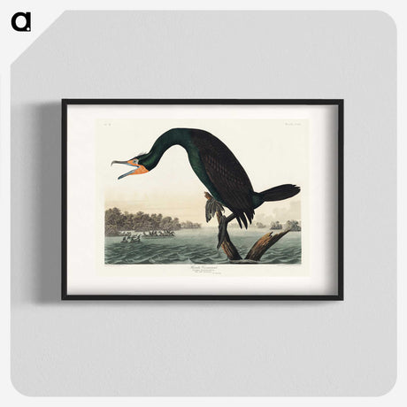 1-38_John-James-Audubon_blk
