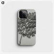 1-38_Karl-Blossfeldt_phone