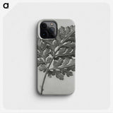 1-38_Karl-Blossfeldt_phone
