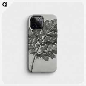1-38_Karl-Blossfeldt_phone