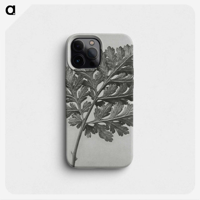 1-38_Karl-Blossfeldt_phone