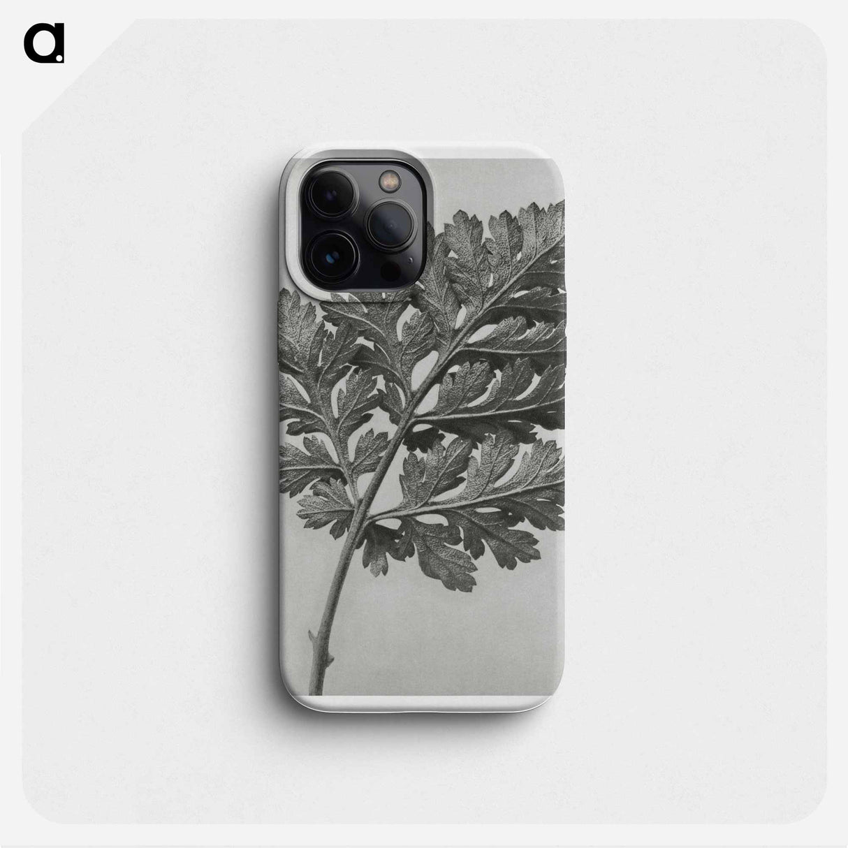 Chrysanthemum parthenium - Karl Blossfeldt Phone Case.