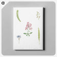1-38_La-Botanique_canvas