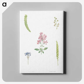 1-38_La-Botanique_canvas