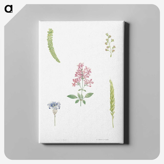 1-38_La-Botanique_canvas