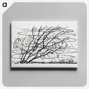 アートパネル-Two fish in the water - レオ ヘステル Canvas.