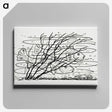 1-38_Leo-Gestel_canvas