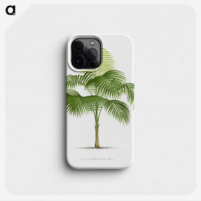 1-38_Les-Palmiers-Histoire-Iconographique_phone