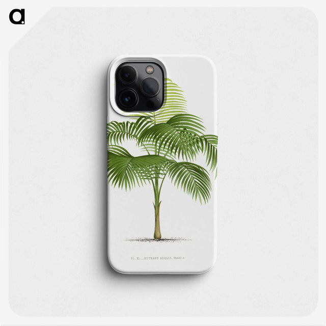 1-38_Les-Palmiers-Histoire-Iconographique_phone