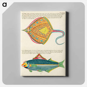 アートパネル-Moluccan Fishes
 - ルイ ルナール Canvas.