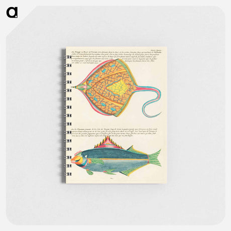アートメモ帳-Moluccan Fishes
 - ルイ ルナール Memo.