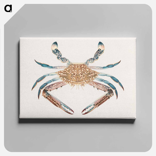 アートパネル-Blue Crab
 - ルイージ バルガーニ Canvas.