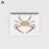 Blue Crab
 - ルイージ バルガーニ Memo.