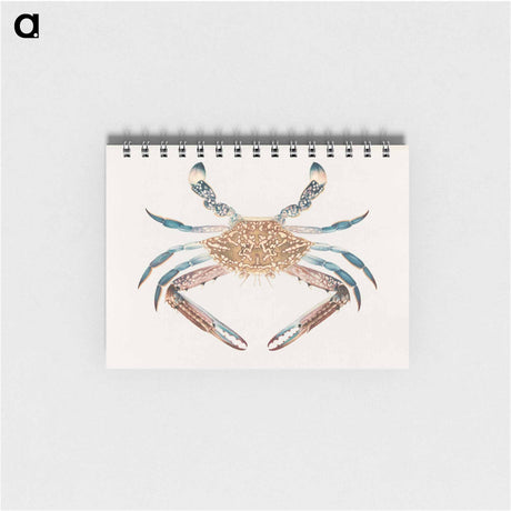 アートメモ帳-Blue Crab
 - ルイージ バルガーニ Memo.