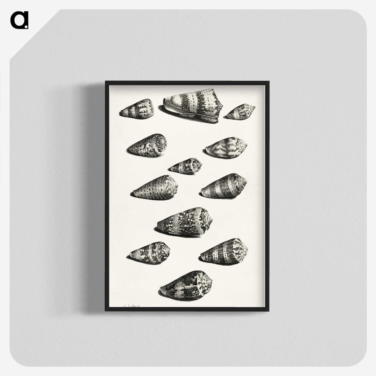1-38_Maria-Sibylla-Merian_blk-crop