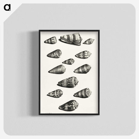 1-38_Maria-Sibylla-Merian_blk-crop