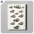 1-38_Maria-Sibylla-Merian_canvas